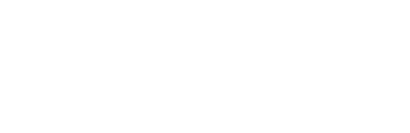 MINI_logo_400x130-01-white.png